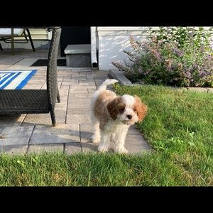 Meet your Posher, Linda